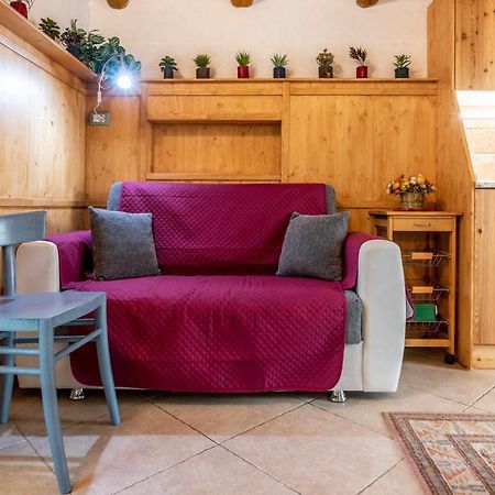 Chalet Altinate Tenna Εξωτερικό φωτογραφία